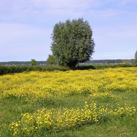 Boutique Het Bloemenhof Ξενοδοχείο 3*